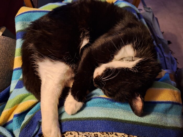Svartvit katt sover hopkurad på en flerfärgad, randig filt.
