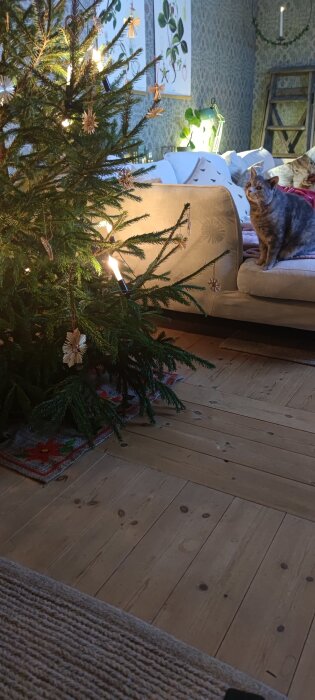En katt sitter pÄ en soffa och tittar pÄ en julgran dekorerad med halmdekorationer och levande ljus i ett mysigt vardagsrum.