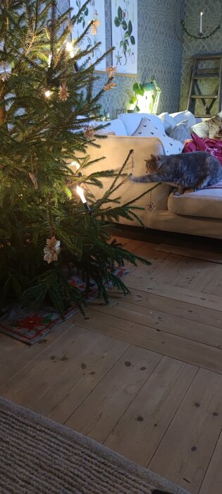 Katt pÄ soffa strÀcker sig mot dekorerad julgran med ljus, i ett rum med trÀgolv och vÀxtmotiv pÄ vÀggarna.