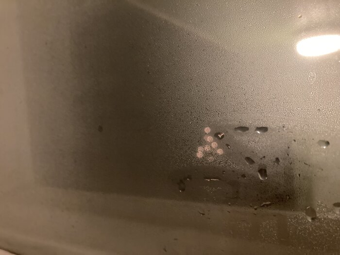 Imma på ett fönster med vattenstänk och suddigt ljus i bakgrunden.