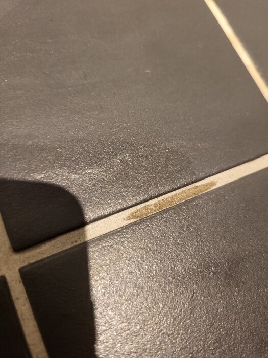 Bilden visar en golvplatta i badrummet med en brunaktig avlagring på fogen nära golvbrunnen i duschen.