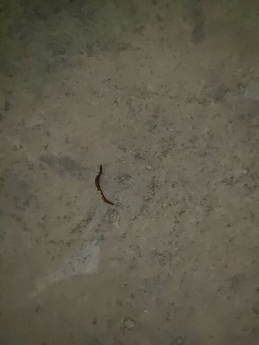 Skada på duschgolvets yta med rostbrun markering i mitten.