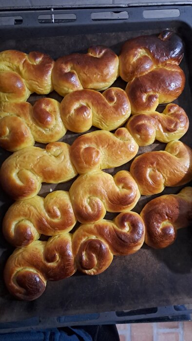 Nygräddade lussebullar på en bakplåt, gyllene och formade i S-mönster, med inslag av bruna toppar.