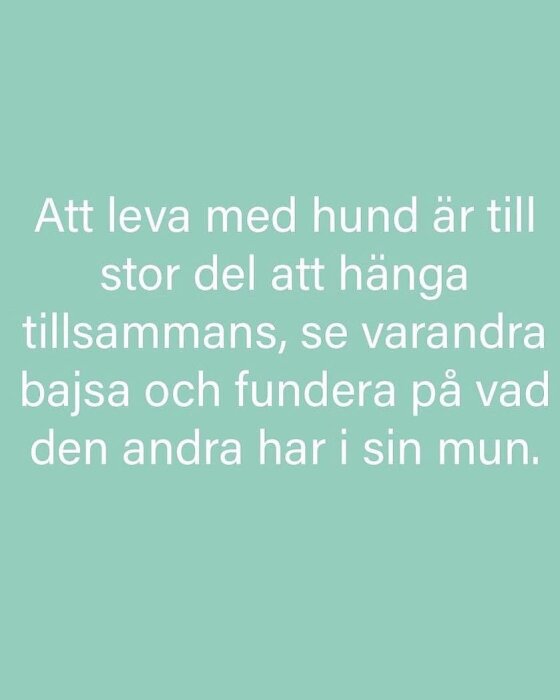 Grön bakgrund med texten: "Att leva med hund är att hänga, se varandra bajsa och fundera på vad den andra har i sin mun.