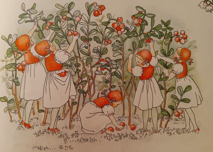 Illustration av barn i skogen som plockar bär iförda röda huvuddukar och klänningar, från Elsa Beskows "Putte i blåbärsskogen".
