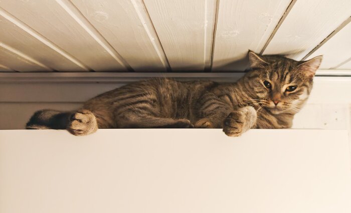 Katt ligger ovanpÄ innerdelen av en luftvÀrmepump, funderingar om pÄverkan av katthÄr pÄ enheten.