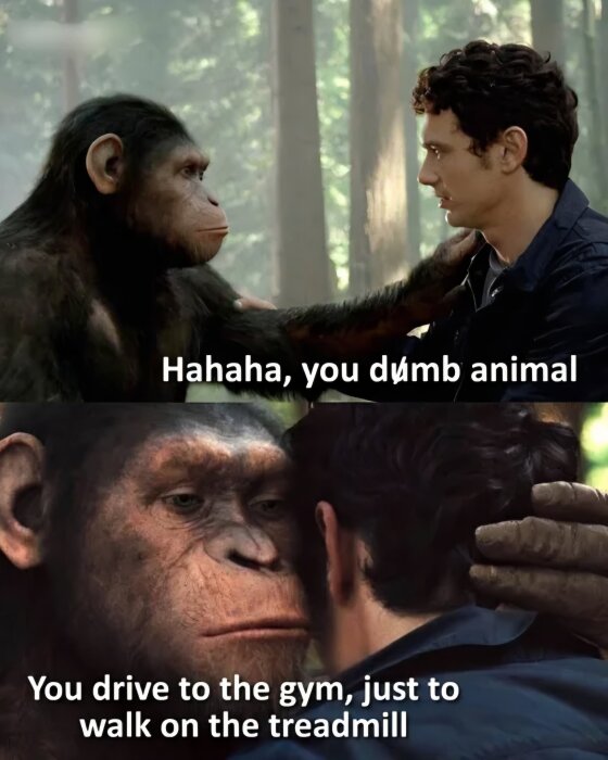 Två bilder med en apa och en man i en skog. Text: "Hahaha, you dumb animal. You drive to the gym, just to walk on the treadmill.
