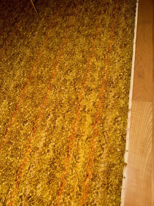 Gulbrun, grov texturerad matta med orange ränder, delvis synlig med trägolv vid sidan. Tråden handlar om att byta ut golvet i vardagsrummet.