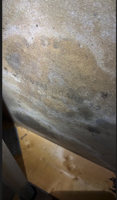 Möglig och fuktskadad skiva i tak med betongpannor, mätning visar hög fuktighet, cirka 30 cm skadad omkrets.