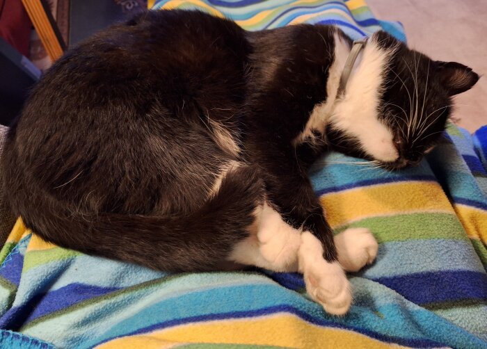Svartvit katt sover ihopkurad pÄ en fÀrgglad randig filt.