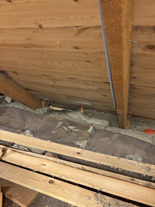 Vind med träbjälkar och isolering, synlig ytlig påväxt och fukt vid takfoten, möjligen på grund av hög fuktighet.