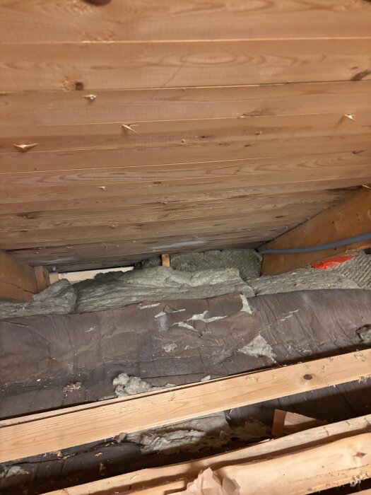 Isolerad vind med synlig fukt och mögel på träpanel och isoleringsmaterial.