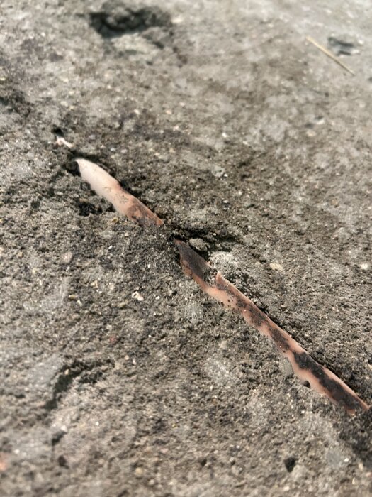Skadat vattenrör inuti ett betonggolv, exponerat efter slipning.