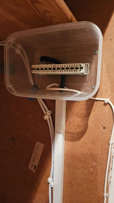 20251218_193110.jpg
