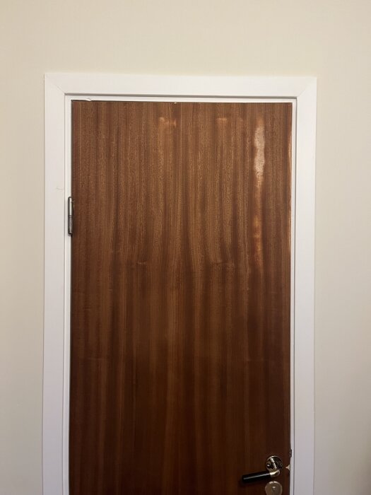 Trädörr med slipmärken efter borttagning av färg, synlig i mitten och övre delen av dörren. Basic dörrlist och handtag.