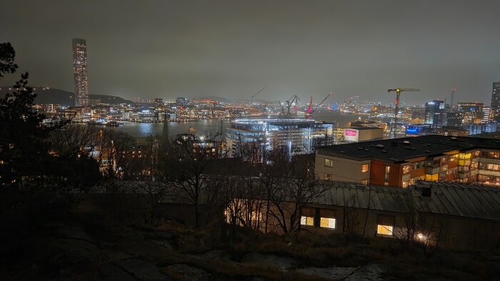 Nattvy över en stad med upplysta byggnader, en hög skyskrapa och flera byggkranar vid en vattenmassa, träd i förgrunden.