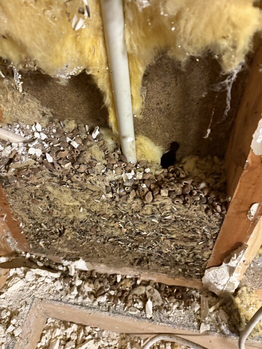 Isolering i ett garage där musspillning och skador syns, tecken på fuktproblem och dålig ventilation. Rörlösa kablar och sprucken gips synliga.