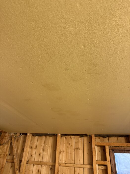 Garagetak med fuktfläckar och synligt regelverk; träpaneler på väggarna. Indikerar potentiella fuktproblem och mögelrisk.