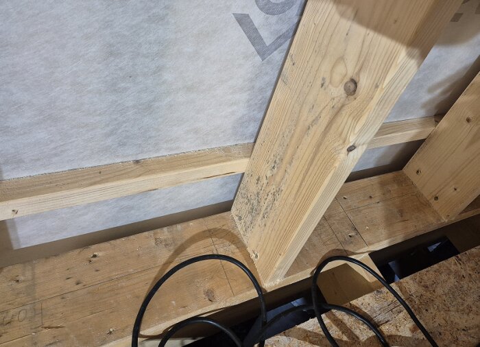 Trästomme med mögelpåväxt inomhus, hög luftfuktighet, byggprojekt på västkusten, ej isolerat, behov av åtgärder.