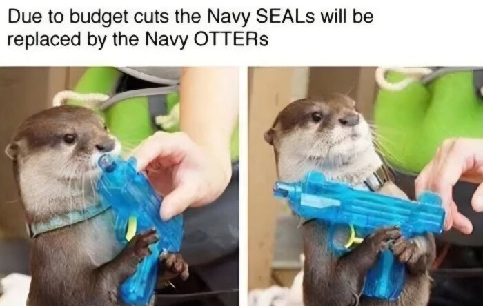 En utter håller en blå leksakspistol medan en hand justerar den. Rolig text om budgetnedskärningar och utbyte av Navy SEALs med "Navy OTTERs.