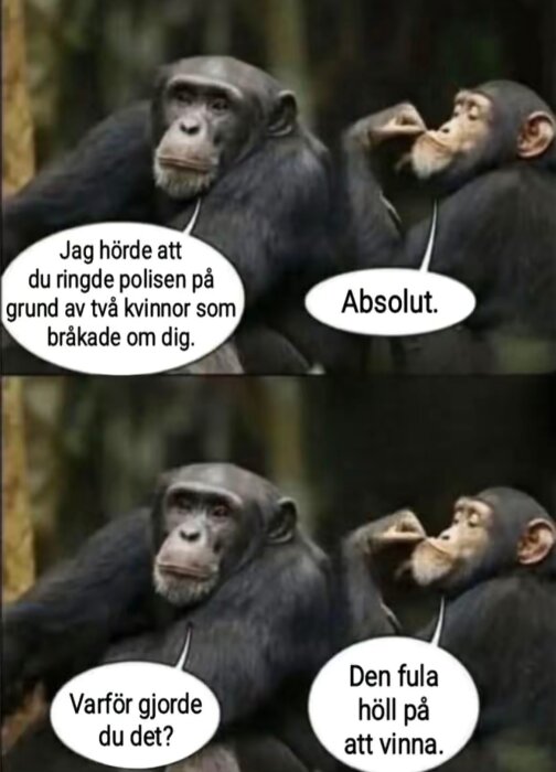 Två schimpanser med pratbubblor, där den ena talar om ett samhällsproblem och den andra svarar humoristiskt om en konflikt.