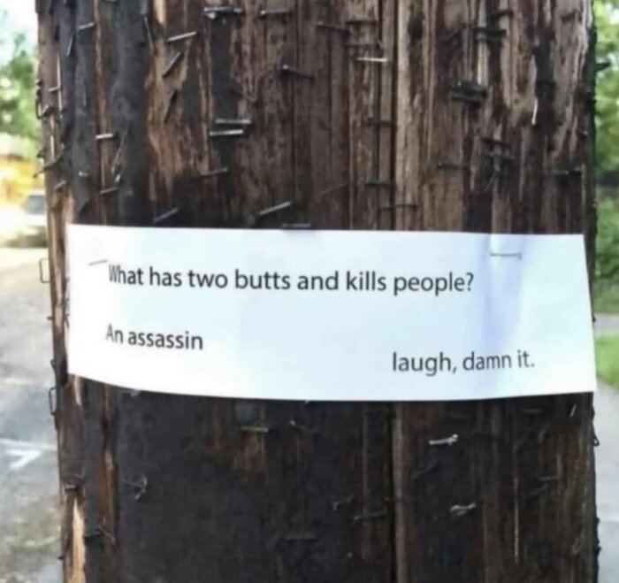 En humoristisk skylt på en trästolpe med texten "What has two butts and kills people? An assassin" fastsatt med häftklamrar.