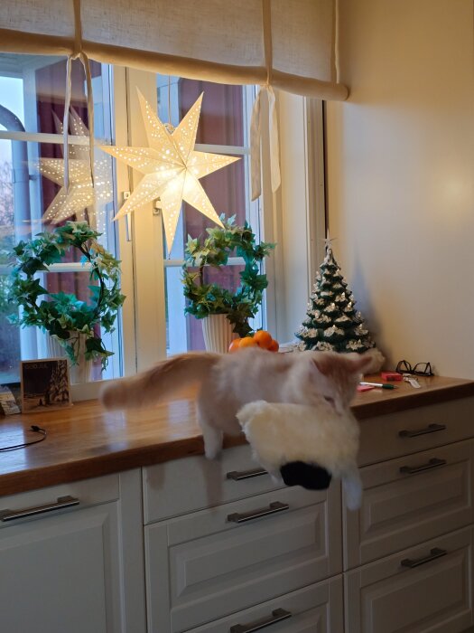 Katt på köksbänk stjäl en fluffig groominghandske medan juldekorationer, som en stjärna och liten gran, står i bakgrunden.