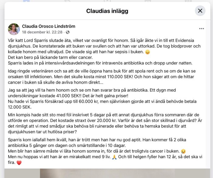 Inlägg från Claudia om hennes katt Lord Sparris, behandlad på djursjukhus för sepsis i buken, med höga veterinärkostnader och tuff medicinsk situation.