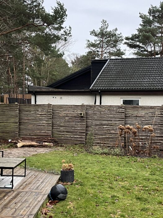 Trädgård med gräsmatta och trädäck, framför horisontellt trästaket. Torra växter i rabatt längs staketet och träd i bakgrunden.