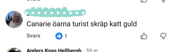 Kommentar på sociala medier med separata ord: "Canarie öarna turist skräp katt guld", illustrerar problem med särskrivningar.