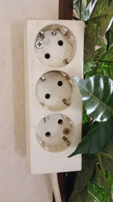 Väggmonterat grenuttag med tre uttag i en äldre renovering, omgiven av gröna blad och monterat med skruv.