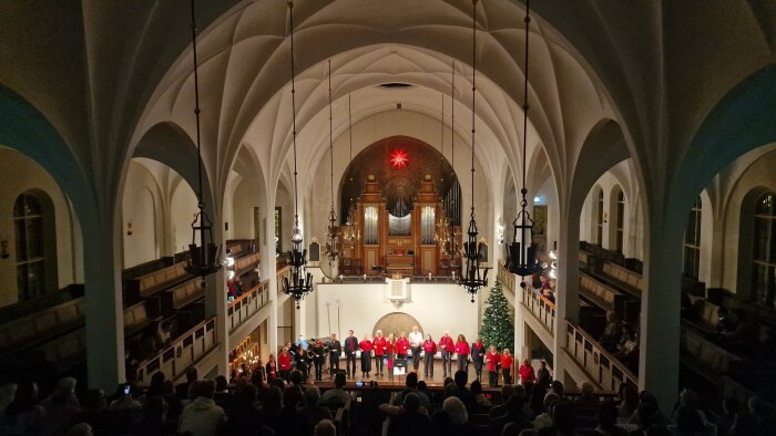 Kör uppträder i kyrka med julstjärna och kyrkorgel i bakgrunden, framför gran och publik.