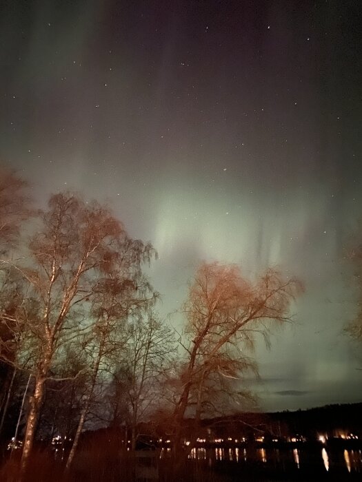 Norrsken över en skog med trädgrenar silhuetterade mot den stjärnklara natthimlen. Reflektioner syns i en lugn sjö i förgrunden.