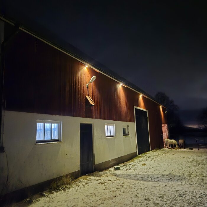 Nattbild av en loge med lysande spotlights på väggen, snötäckt mark och två hästar i bakgrunden.