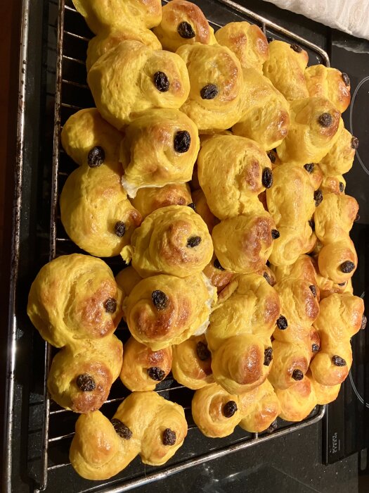 Ett galler med nybakade gyllene lussekatter dekorerade med russin.