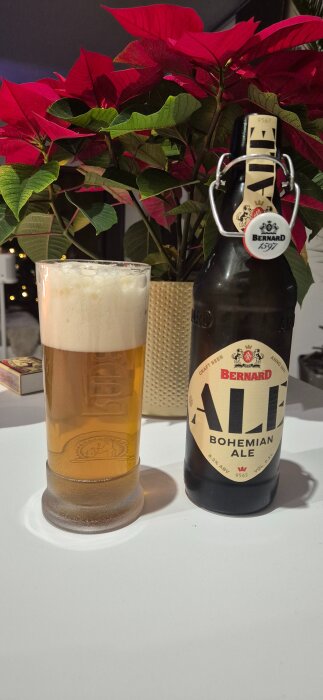 Flaska Bohemian Ale och glas med öl framför en julstjärna.