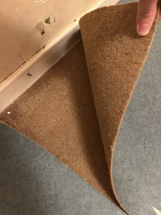 En hand lyfter på en brun matta från golvet, visar underlag nära väggen i ett hus från 1966.