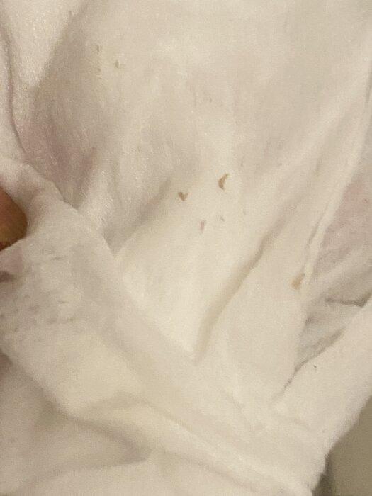 Vit tyg med små mörka fläckar, misstänkta för att orsaka insektsbett i en hyreslägenhet.