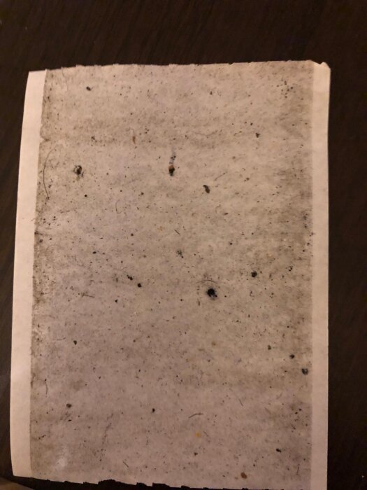 Smutsig yta med små svarta prickar på ett papper, troligtvis nära en ventil eller fläkt i en lägenhet med insektsproblem.