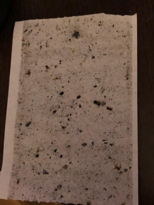 Foto av ett papper med mörka fläckar och smuts, kanske relaterat till en insektsproblematik i hemmet.