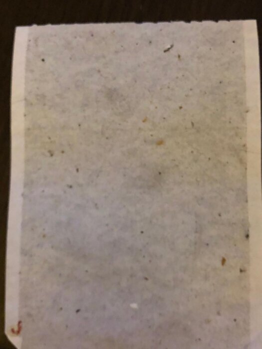 Närbild på en vit yta med små bruna och svarta fläckar som kan vara insektsrelaterade.