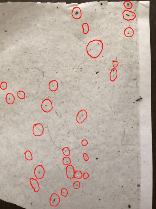 Papper med flera små mörka fläckar omringade av röda cirklar.