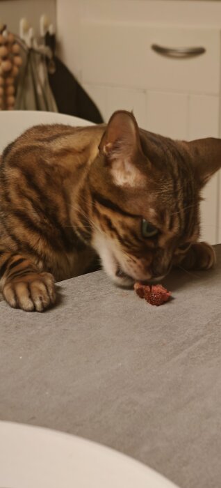 Brunrandig katt äter en bit kött på bordet.