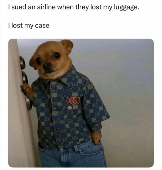 En hund i en mönstrad skjorta och jeans står på bakbenen, ser in i kameran och lutar sig mot en vägg.