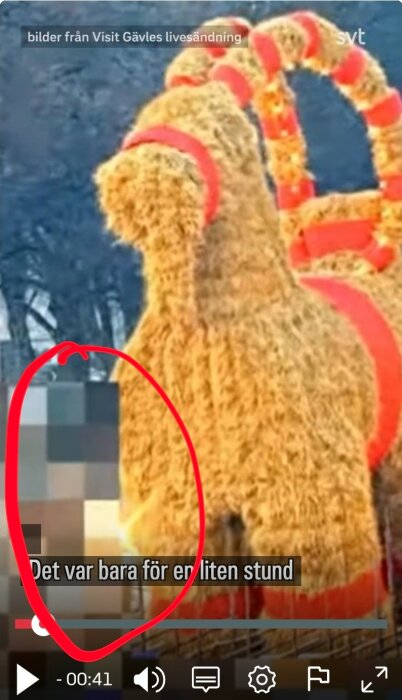 Bild av en stor halmbock dekorerad med röda band, en pixlad person syns nedanför, och text från en SVT-sändning överlagrad.