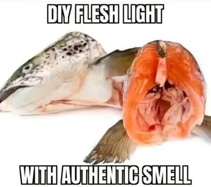 Fiskhuvud och kroppshåla med texten 'DIY flesh light with authentic smell' ovanför.