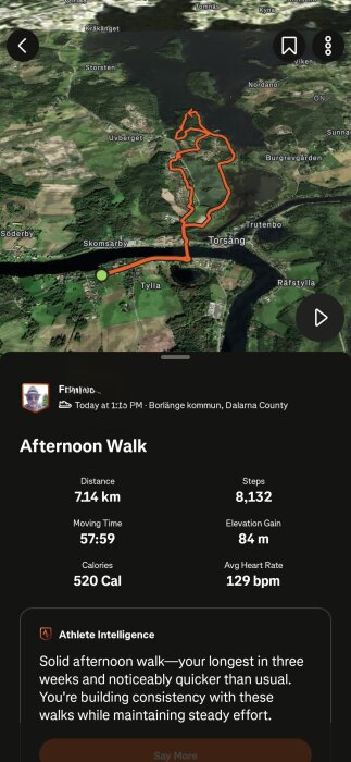 Karta och data från en eftermiddagspromenad i Borlänge kommun, Dalarna, 7,14 km, 8132 steg, 520 kcal, med en medelpuls på 129 bpm.