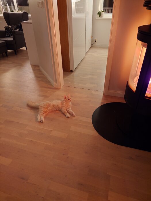 En orange katt ligger på golvet nära en tänd kamin i ett vardagsrum, ser avslappnad ut.