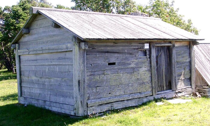 Gammalt, slitet skjul av trä med plåttak, enkel dörr och växtlighet runtom, utan modern låsanordning.