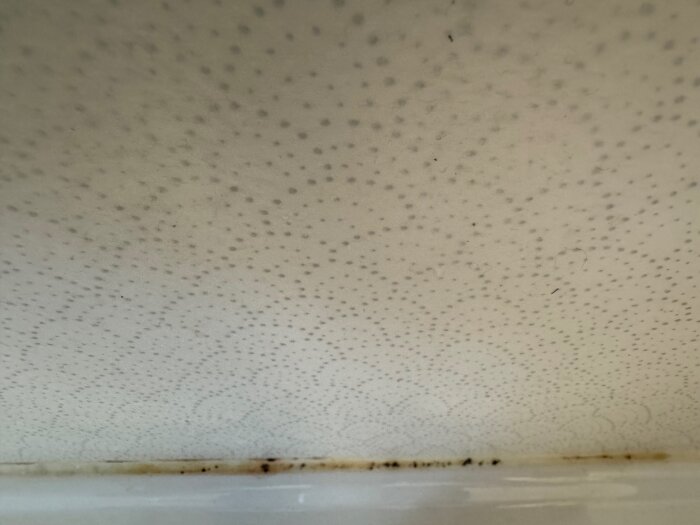 Mögelangripen tätningsfog vid övergången mellan våtrumsmatta och yta, med synliga mörka fläckar på mattan i ett våtutrymme.